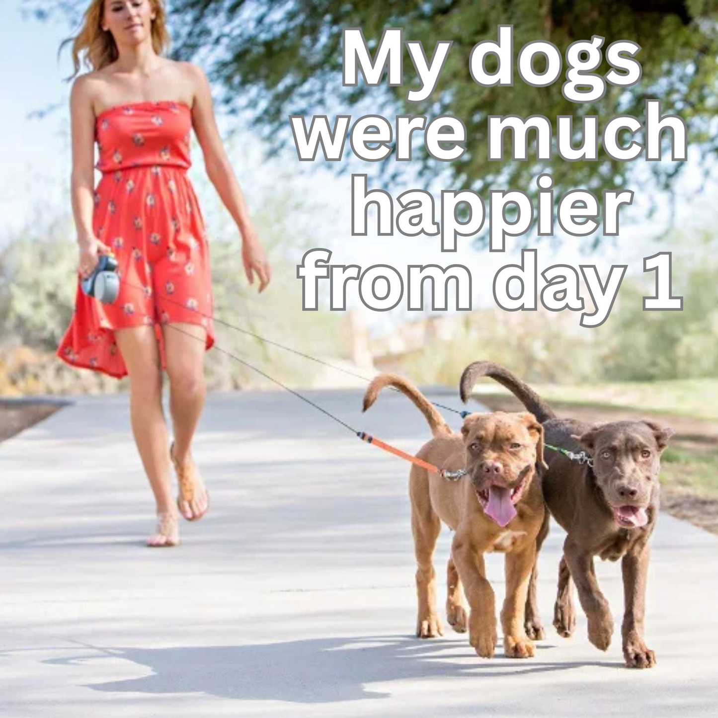 Dual Dog Leash